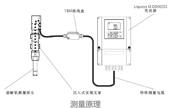 德國E+H – COS41溶解氧傳感器