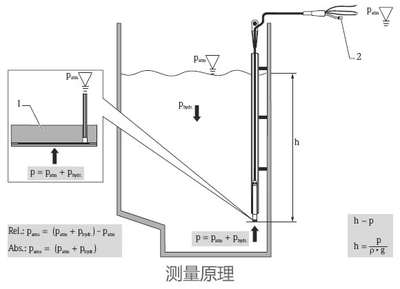 德國E+H – FMX21靜壓式液位開關(guān)/液位計