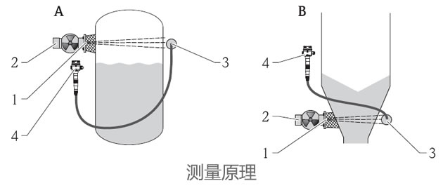 德國E+H – FTG20放射線物位計(jì)/液位計(jì)