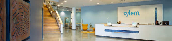 賽萊默Xylem xylem