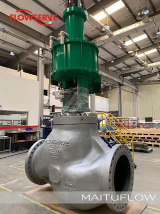 美國FLOWSERVE閥門